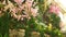 A large artificial waterfall framed by pink flowers and green leaves.