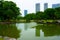 Large and attractive landscape garden Tokyo. Japanese garden on the background of modern buildings