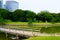 Large and attractive landscape garden, Tokyo. Japanese garden on the background of modern buildings