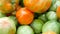 Large autumn harvest of ripe and unripe green and red tomatoes, close up view