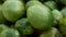 Large autumn harvest of ripe and unripe green and red tomatoes, close up view