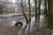 Large autumn rain pool near asphalt street in autumn