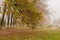 Large autumn trees and a path on a misty morning