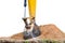 Large backhoe heavy dig soil stone