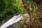 Large banyan trees and gentle waterfall