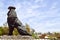 large beautiful stone statue of a black proud majestic lion on a pedestal against a blue sky and copy the place.