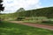 Large Beech Hedge at the Botanic Garden