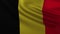 Large Belgian flag background in the wind