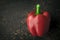 Large bell pepper on a metal background