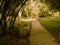 Large bench on the path in the Park among the trees, autumn back