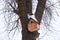 A large birdhouse on a tree in the city center in winter