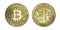 Large bitcoin coin