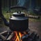 Large black kettle on hearth in a camp in the forest. bonfire at night.