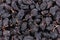 Large black seedless raisins