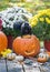 A large black squirrel straddles a Halloween pumpkin