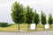 Large blank billboards along a road with trees, banners with room to add your own text