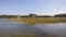 A large blue lake. Summer day. Gazebo on the shore