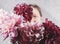 Large blurred bouquet of pink peonies covering face young woman on grey background. Focus are on one her eye