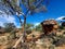 Large Boulder at Kanyaka Waterhole