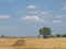 Large boulder in a prairie wheat field.