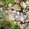 Large boulders in artificial pond, fern in water