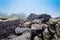 Large boulders in fog on Blackrock Summit, in Shenandoah National Park, Virginia.