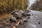 large boulders and mud covering road after landslide