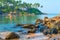 Large boulders and tall palm trees on the shore