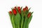 Large bouquet of fresh burgundy-red tulips, isolated on white ba