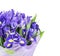 A large bouquet of irises