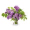 Large bouquet of lilacs in a glass vase.