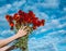 Large bouquet of red poppies in woman hands