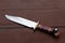 Large Bowie Knife