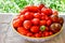 Large bowl with freshly harvested organic tomatoes