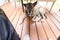 large brindle dog begging for food while laying under table