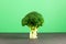 Large Broccoli cabbage in form of abstract tree on green background. Fresh vegetable, Organic food. Selective focus, copy space