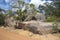 Large brown rocks in John Forrest National Park