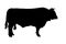 Large Bull silhouette