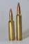 Large caliber bullets 300 WSM and 300 WIN