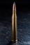 Large-caliber cartridge on a dark background