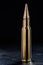 Large-caliber cartridge on a dark background