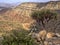 large canyon north-west of Ethiopia near the Danakil Depression