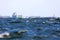 Large carrier ship loaded with timber on the stormy ocean in the swedish archipelago close to the lighthouse Svartklubben