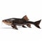 Large Catfish Caught On White Background In Ingrid Baars Style