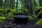 large cauldron in the middle of the forest