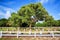 Large Cemetery, Graveyard With Multiple Headstones