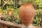 Large Ceramic Terracotta Pot in the Park. Botanical Garden of Taormina. The island of Sicily, Italy