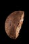 Large chaga mushroom isolated on black background. Closeup. Birch mushroom is used in alternative medicine to make drinks