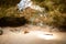 Large Chamber in Guadirikiri Cave in Aruba