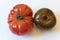 Large Cherokee purple and Montserrat type organic heirloom tomatoes isolated on white